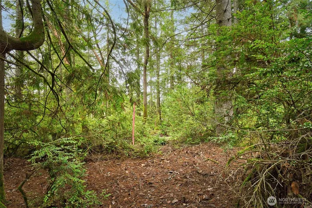 $150,000 | 0 Dickey Road Northwest, Silverdale, WA 98383