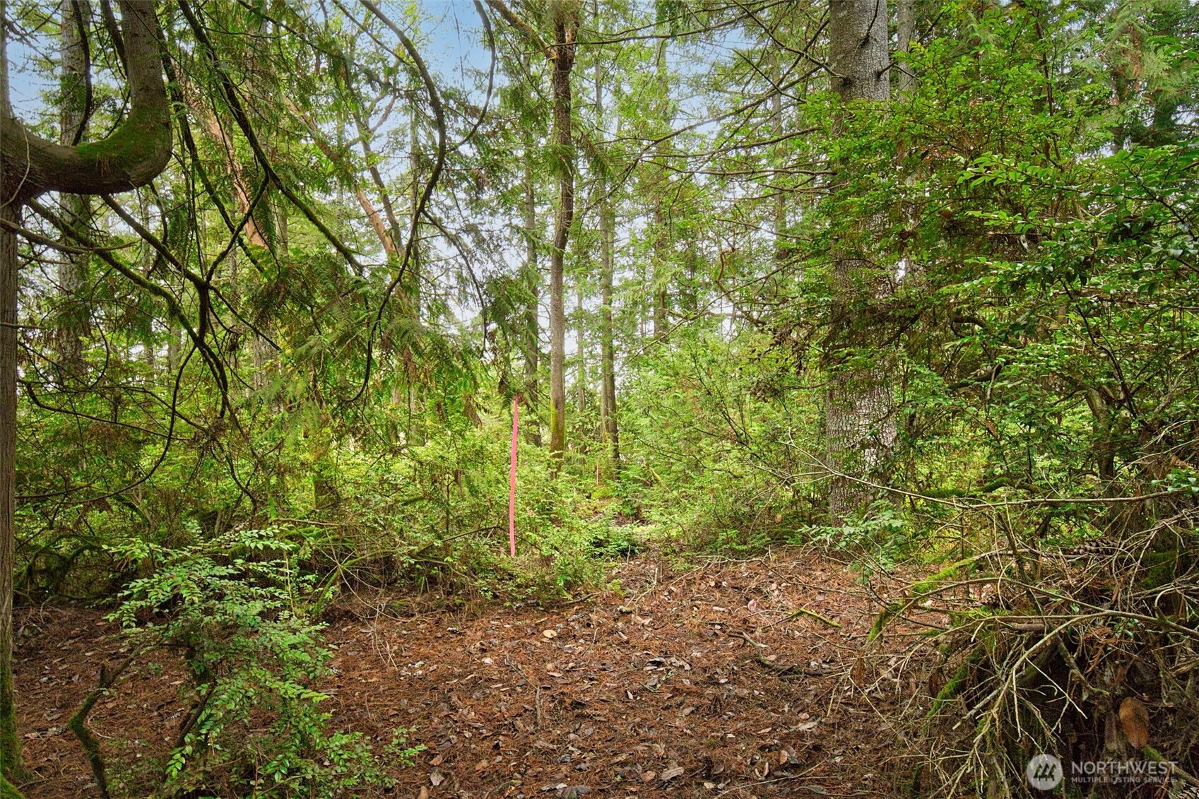 0 Dickey Road Northwest Silverdale, WA 98383 - Photo 21 of 21 a view of a large yard with lots of green space