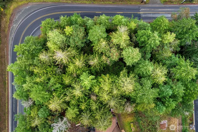 a view of a yard with plants