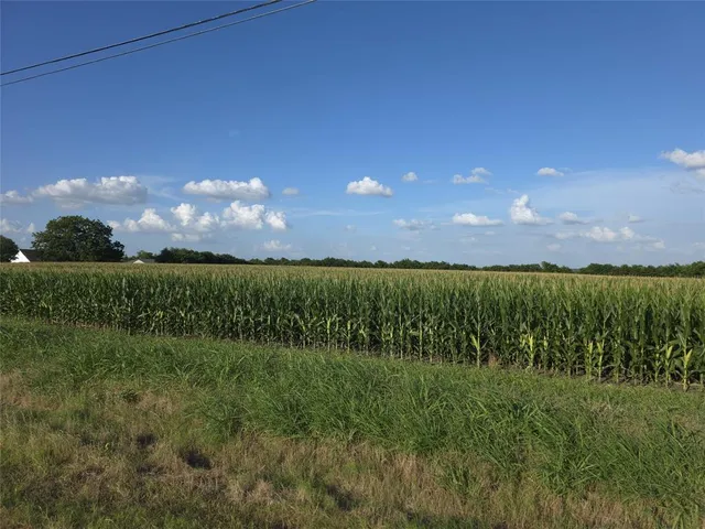 a view of a yard in a field