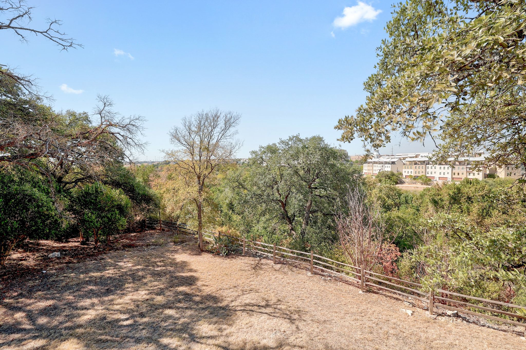 509 Cedar Drive, Unit 206 Georgetown, TX 78628 - Photo 12 of 12 a view of a yard with a tree