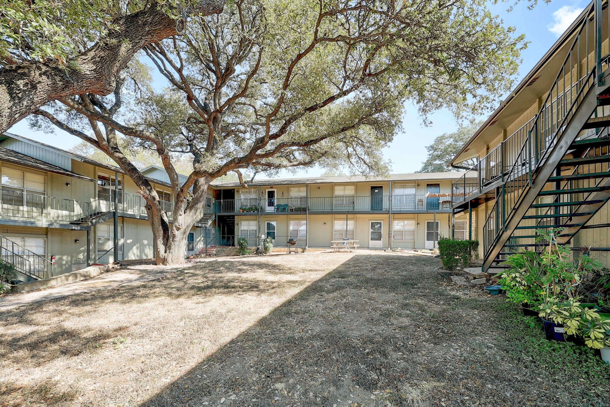 509 Cedar Drive, Unit 206 Georgetown, TX 78628 - Photo 2 of 12 a view of backyard with large trees