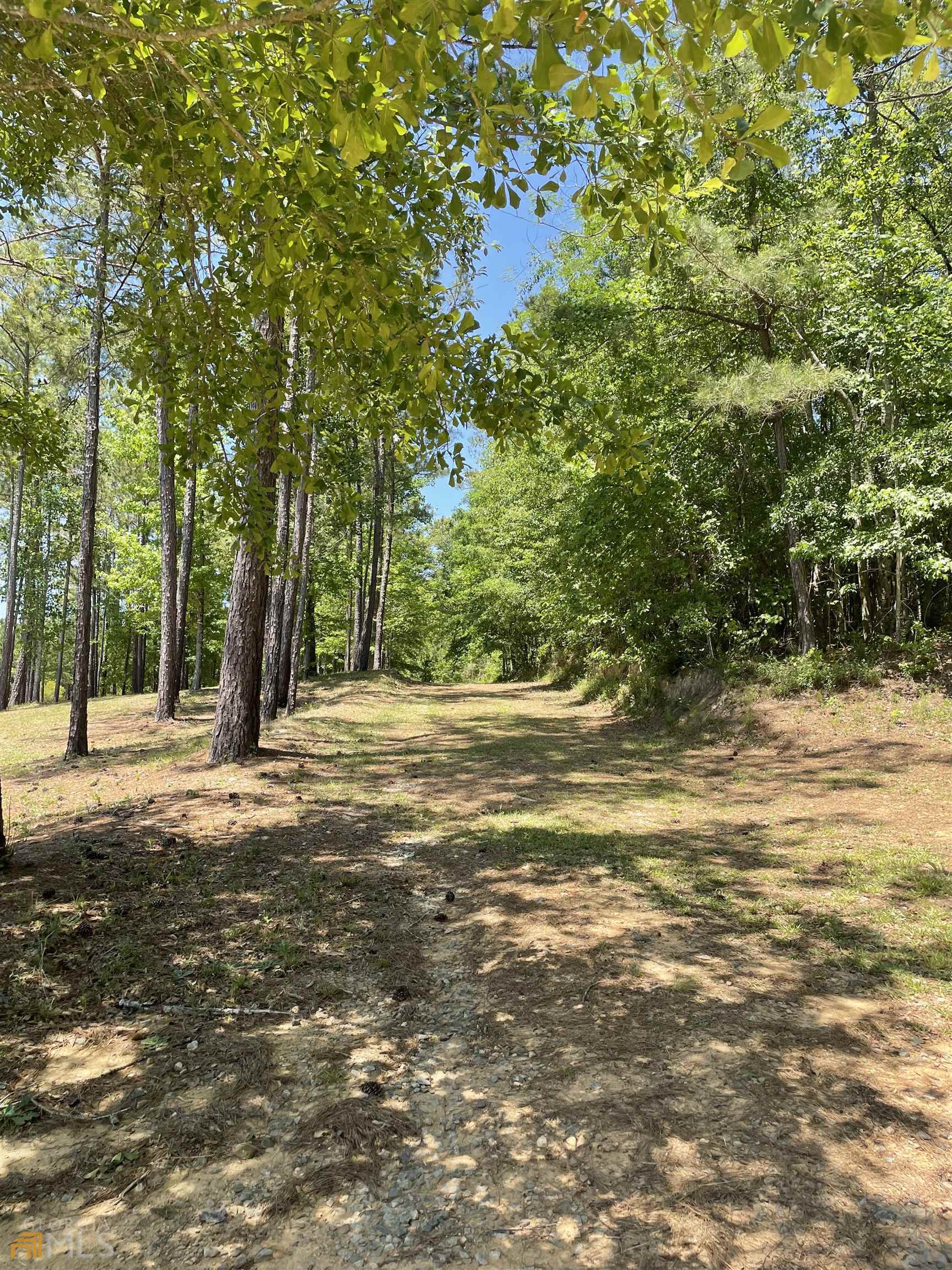 0 Salem Church Road Musella, GA 31078 - Photo 1 of 1 a view of a house with a yard