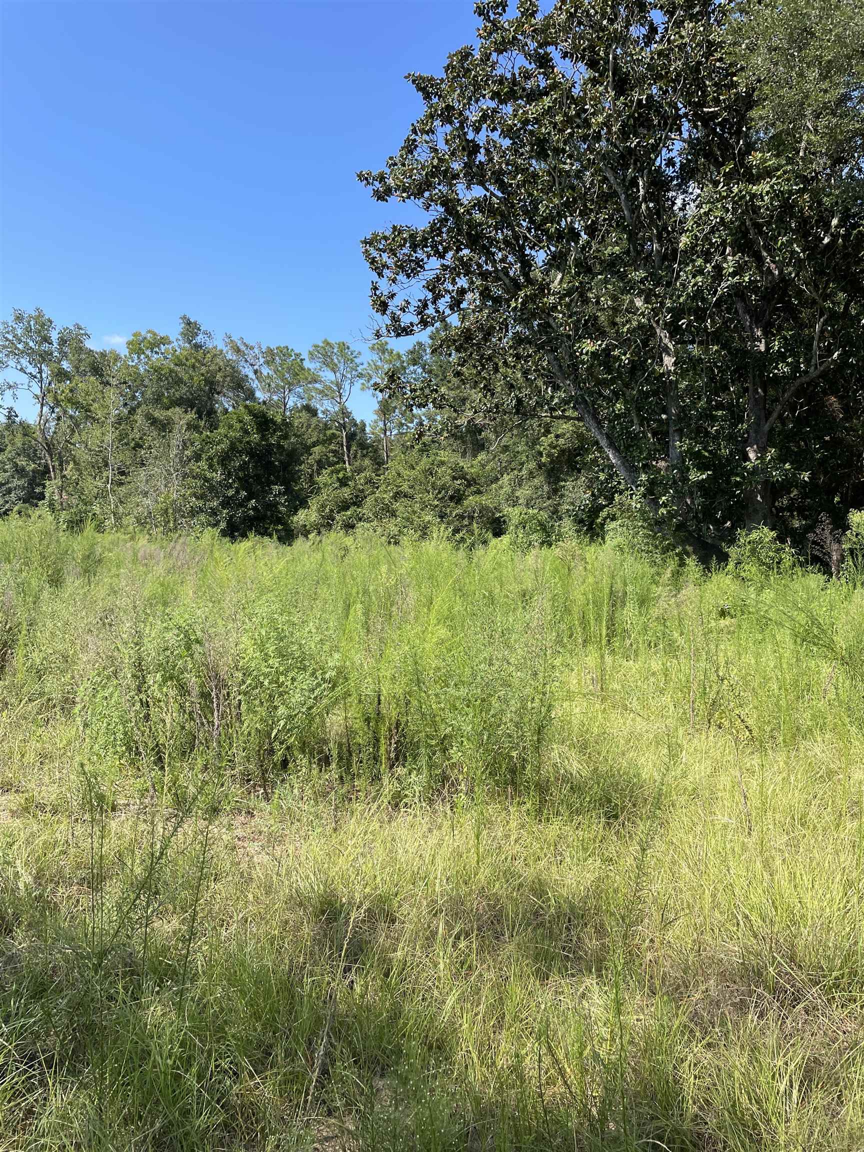14745 Highway 98 Foley, AL 36535 - Photo 6 of 13