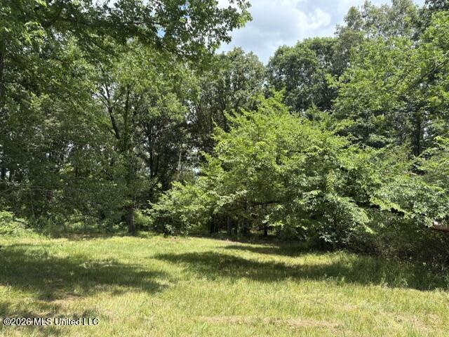 703 Burton Road Senatobia, MS 38668 - Photo 6 of 10 IMG_3814
