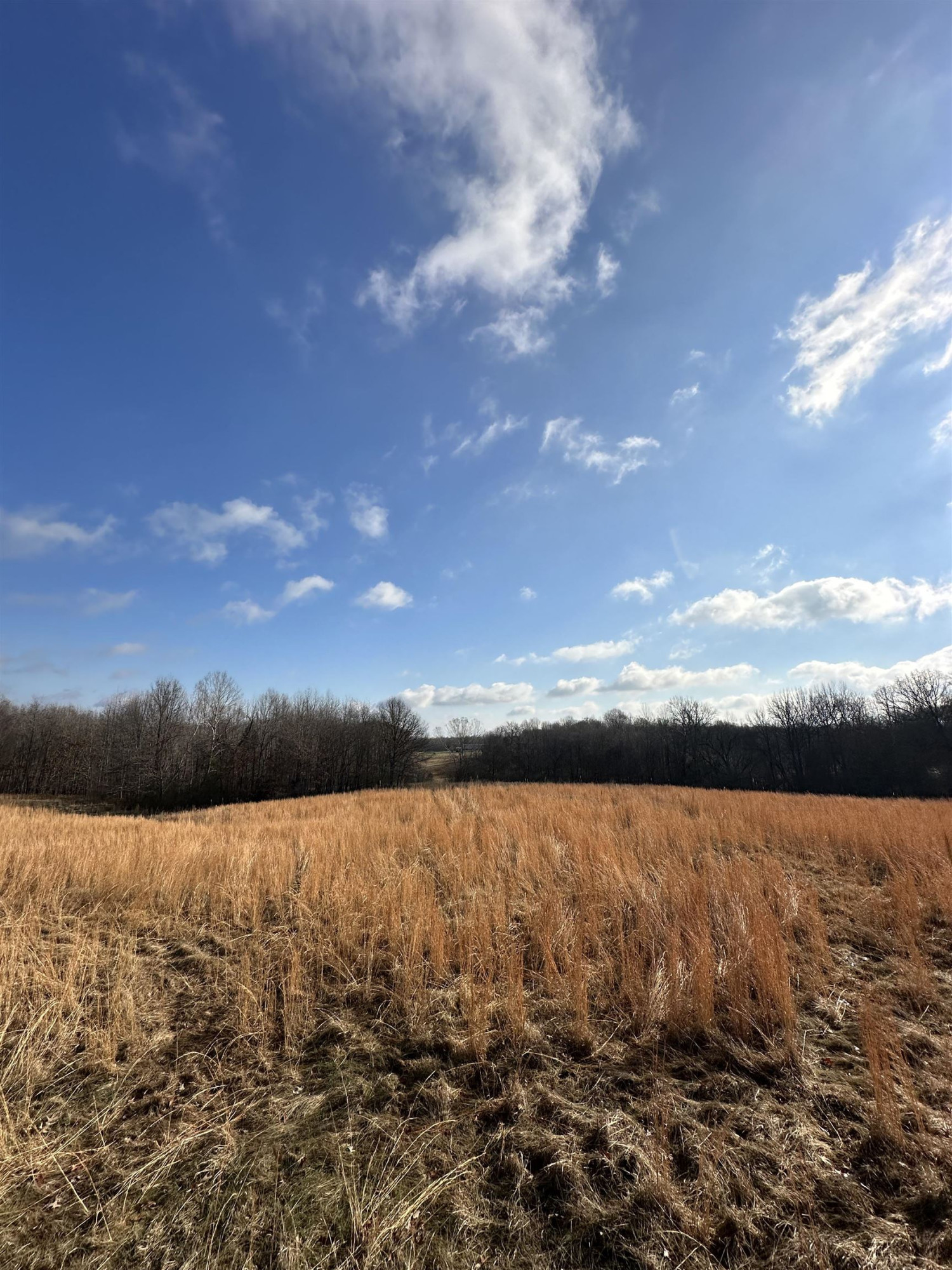0 Walnut Grove Road Milan, TN 38358 - Photo 2 of 13 Photo 2