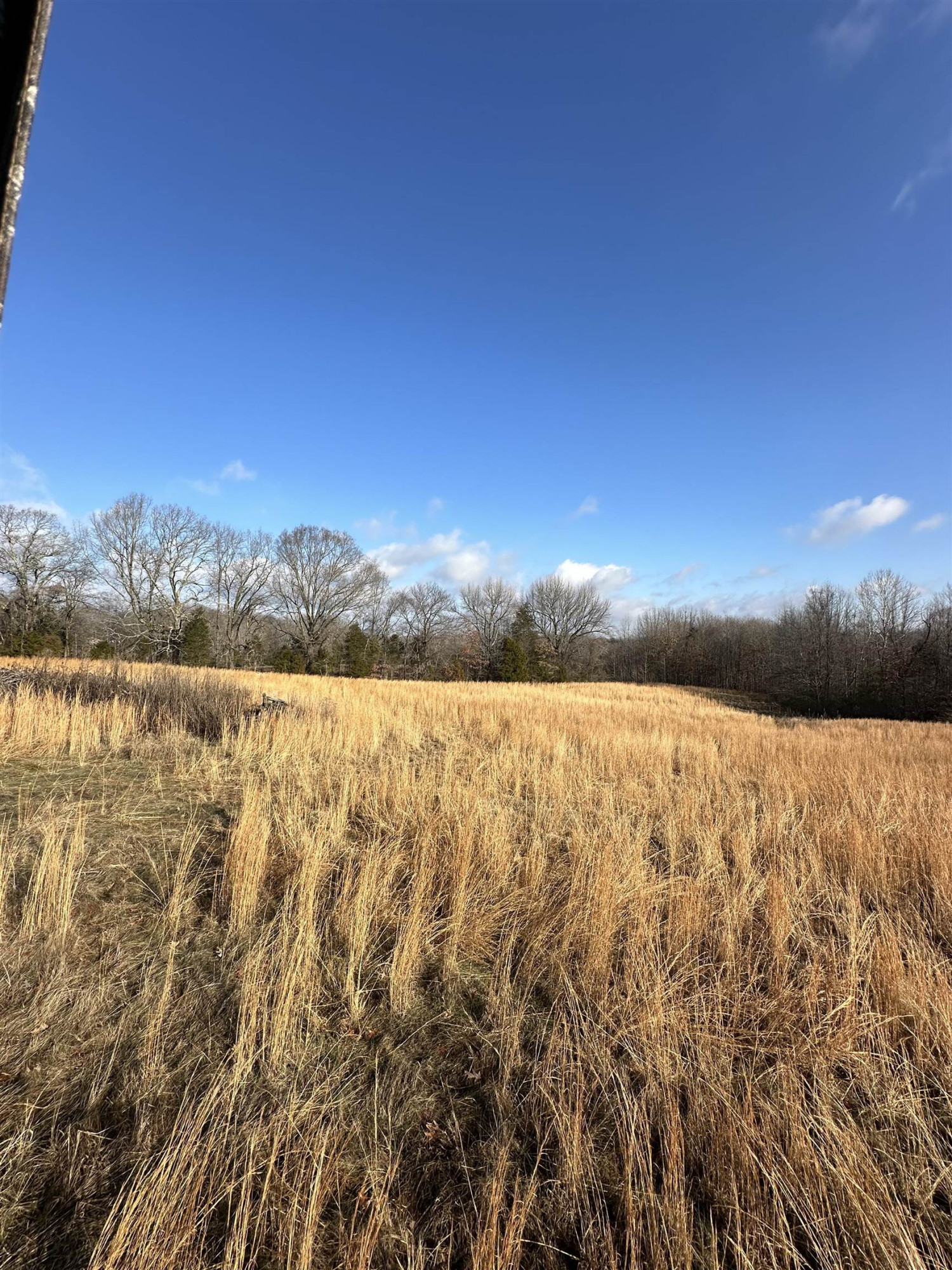 0 Walnut Grove Road Milan, TN 38358 - Photo 7 of 13 Photo 7