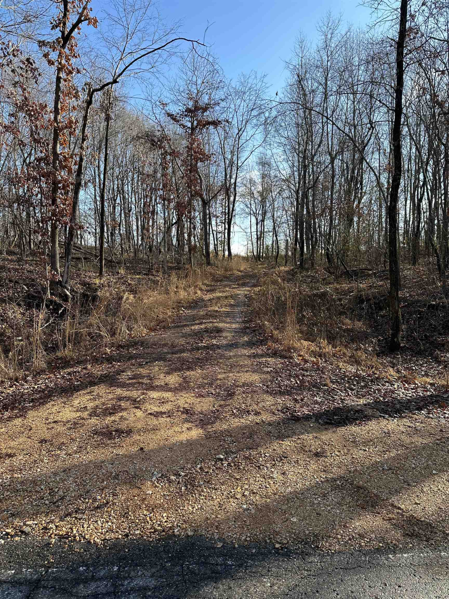 0 Walnut Grove Road Milan, TN 38358 - Photo 8 of 13 Photo 8