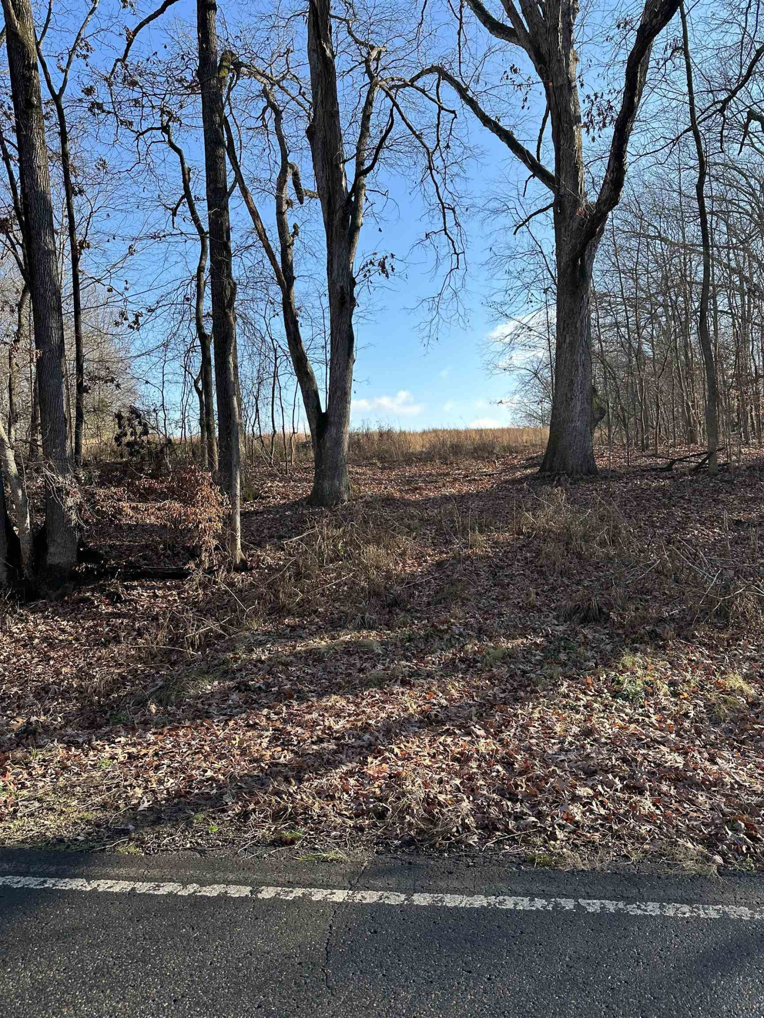 0 Walnut Grove Road Milan, TN 38358 - Photo 9 of 13 Photo 9