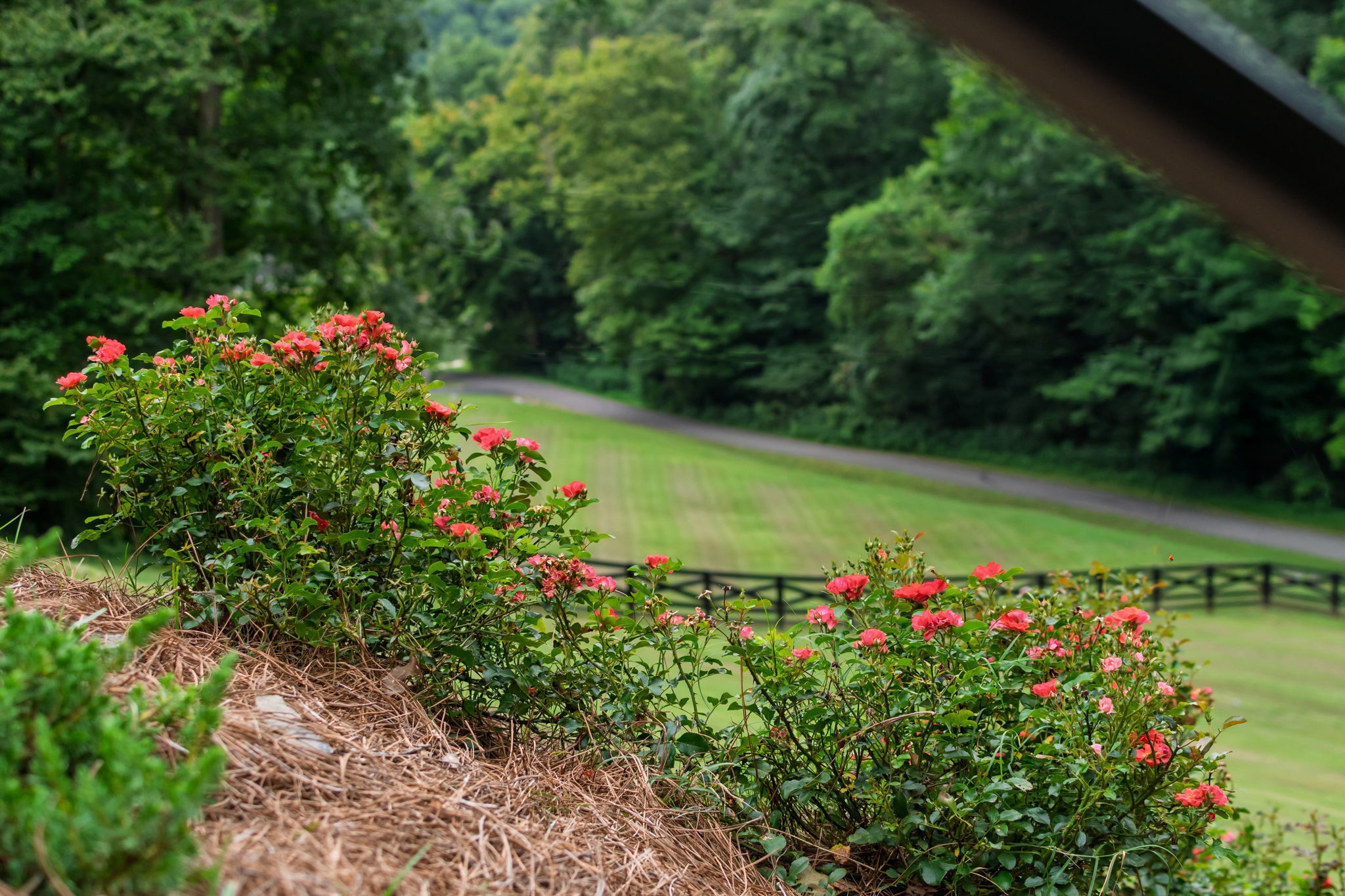 7518 River Rd Pike Nashville, TN 37209 - Photo 71 of 98 Gallery Image 71