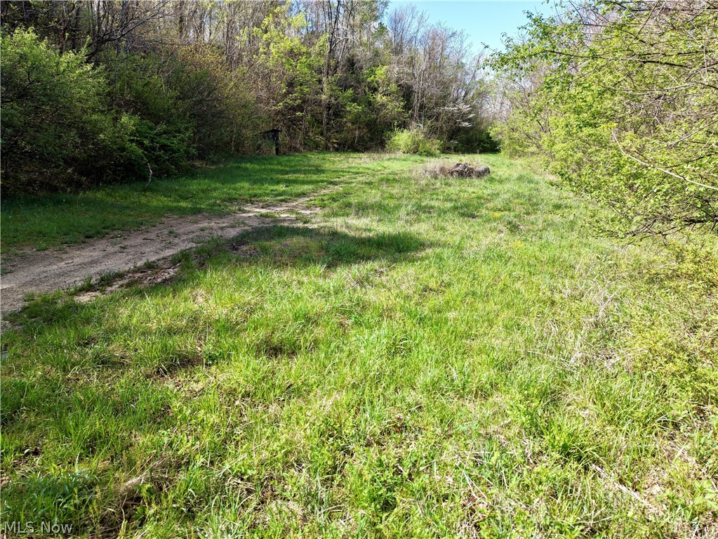 0 Harrons Ridge Road Dexter City, OH 45727 - Photo 21 of 29