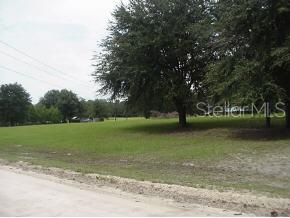 0 Southwest Mapleton Street Fort White, FL 32038 - Photo 1 of 1 a view of a park