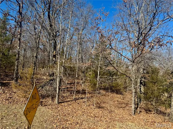 $14,000 | 0 Plaza Lane, Lebanon, MO 65536