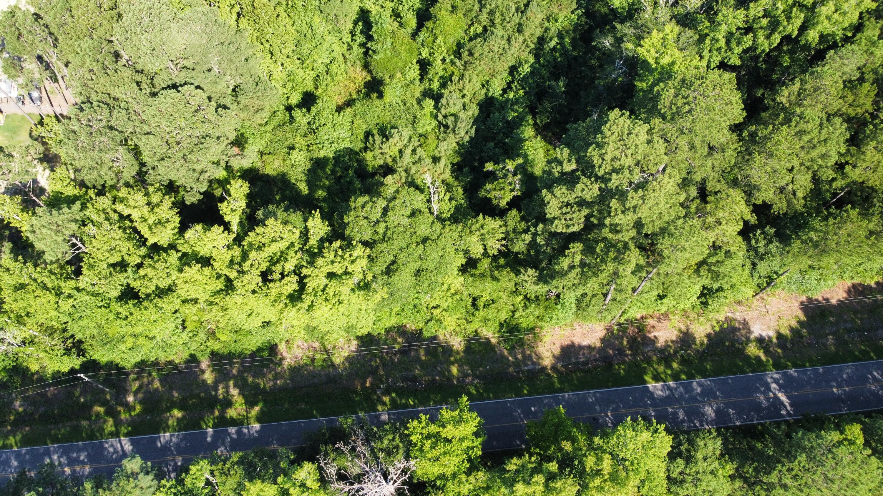 0 Tupperware Road Hemingway, SC 29554 - Photo 11 of 11 dji_fly_20240702_100052_224_171992886391