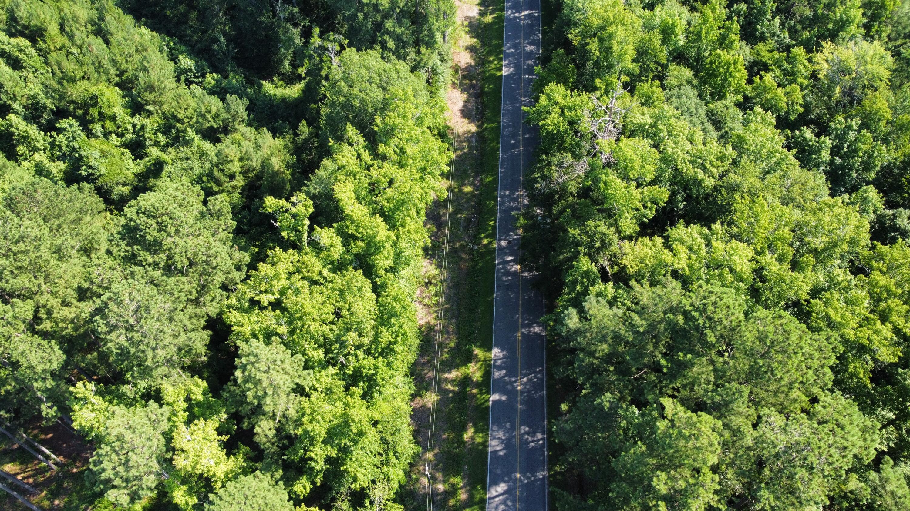 0 Tupperware Road Hemingway, SC 29554 - Photo 3 of 11 dji_fly_20240702_100328_233_171992901360