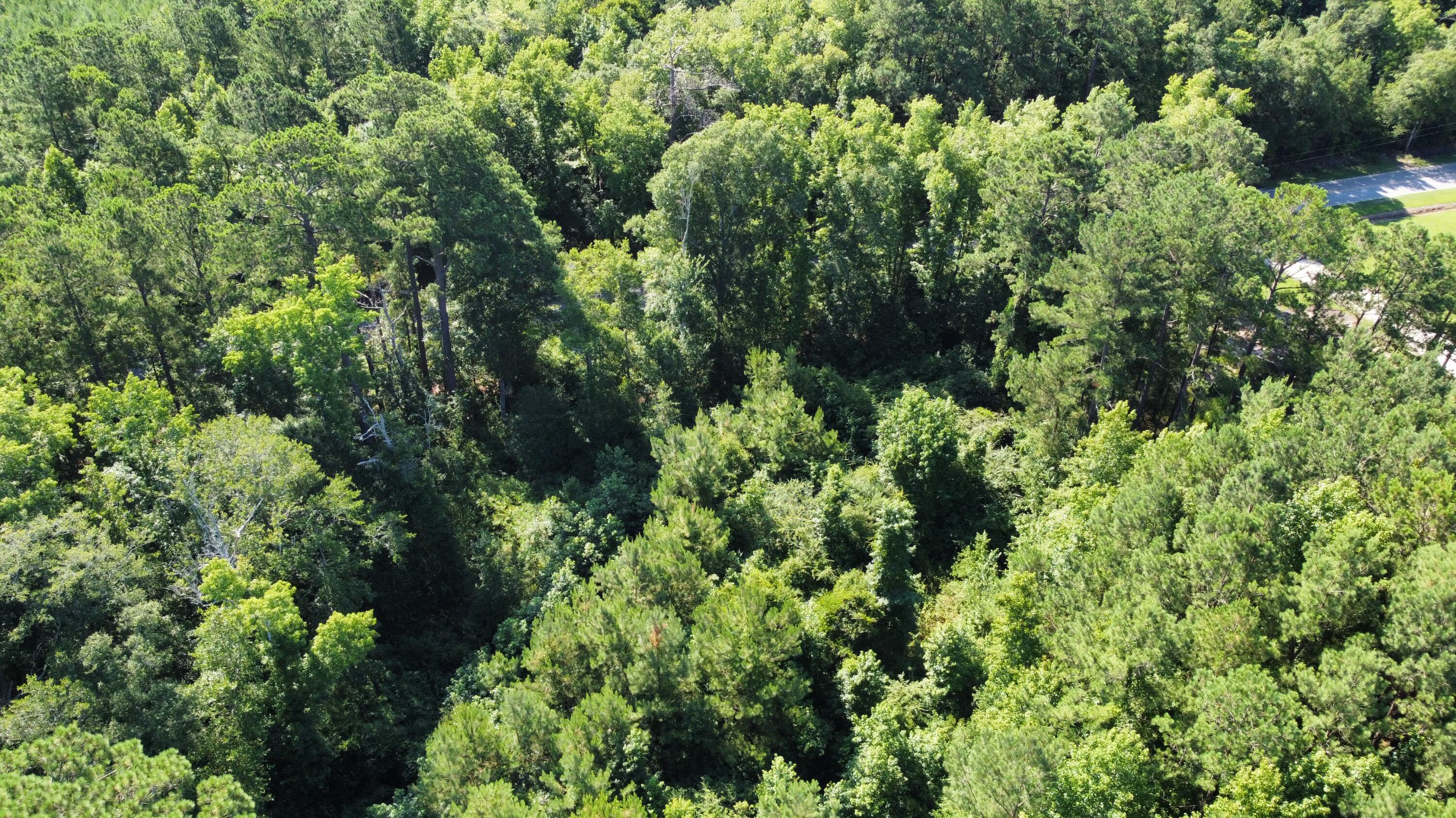 0 Tupperware Road Hemingway, SC 29554 - Photo 4 of 11 dji_fly_20240702_100300_232_171992898640