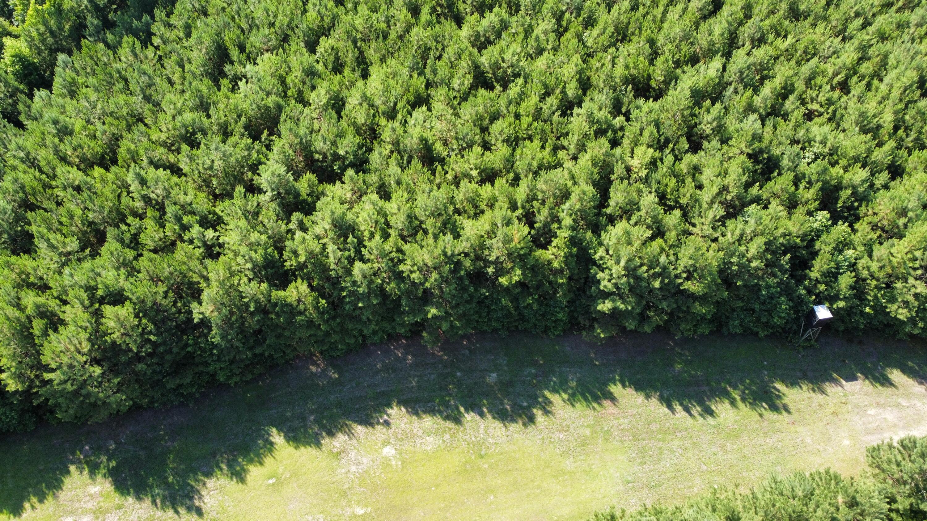 0 Tupperware Road Hemingway, SC 29554 - Photo 7 of 11 dji_fly_20240702_100214_228_171992894698