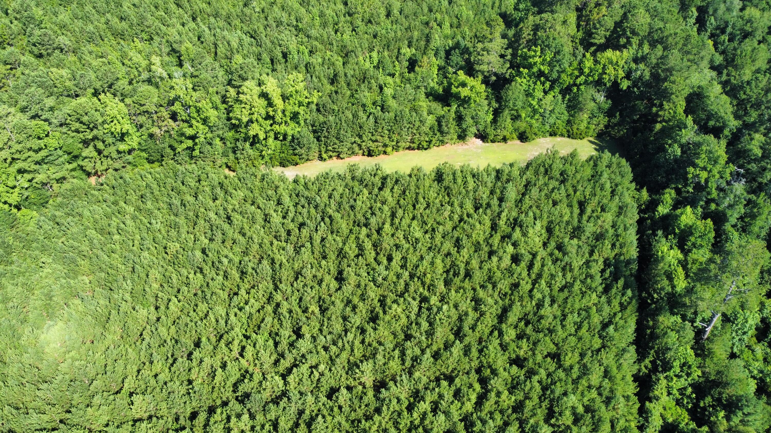 0 Tupperware Road Hemingway, SC 29554 - Photo 8 of 11 dji_fly_20240702_100130_227_171992895259