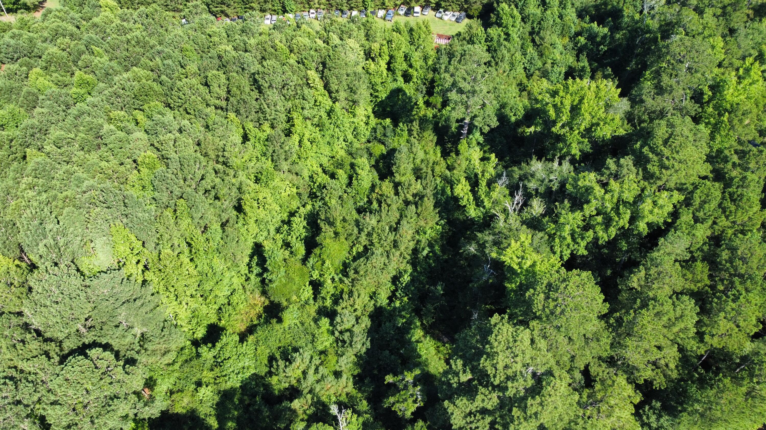 0 Tupperware Road Hemingway, SC 29554 - Photo 10 of 11 dji_fly_20240702_100056_225_171992886853