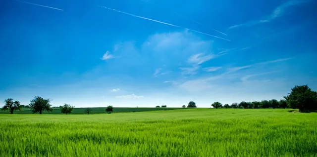 a view of a green field