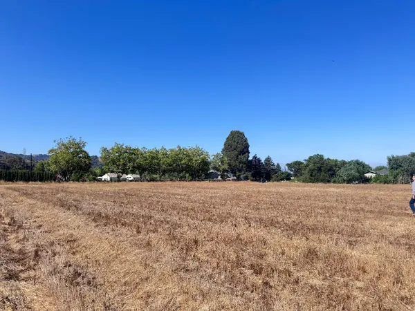 a view of an outdoor space and a yard