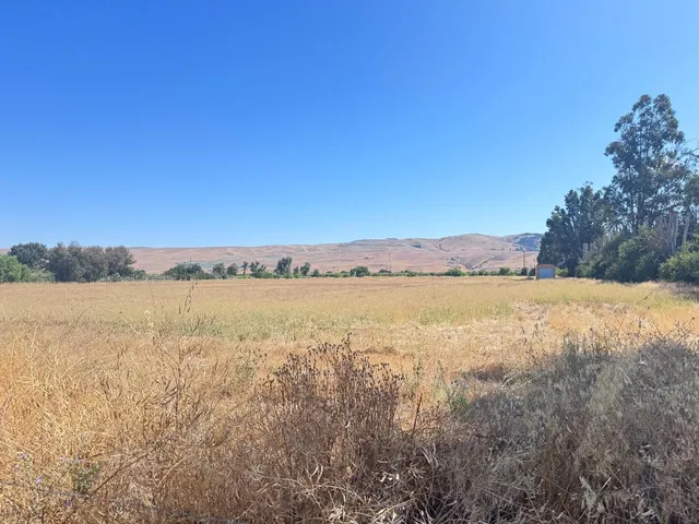 a view of lake and mountain