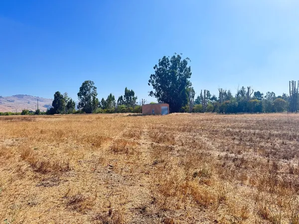 a view of outdoor space and trees
