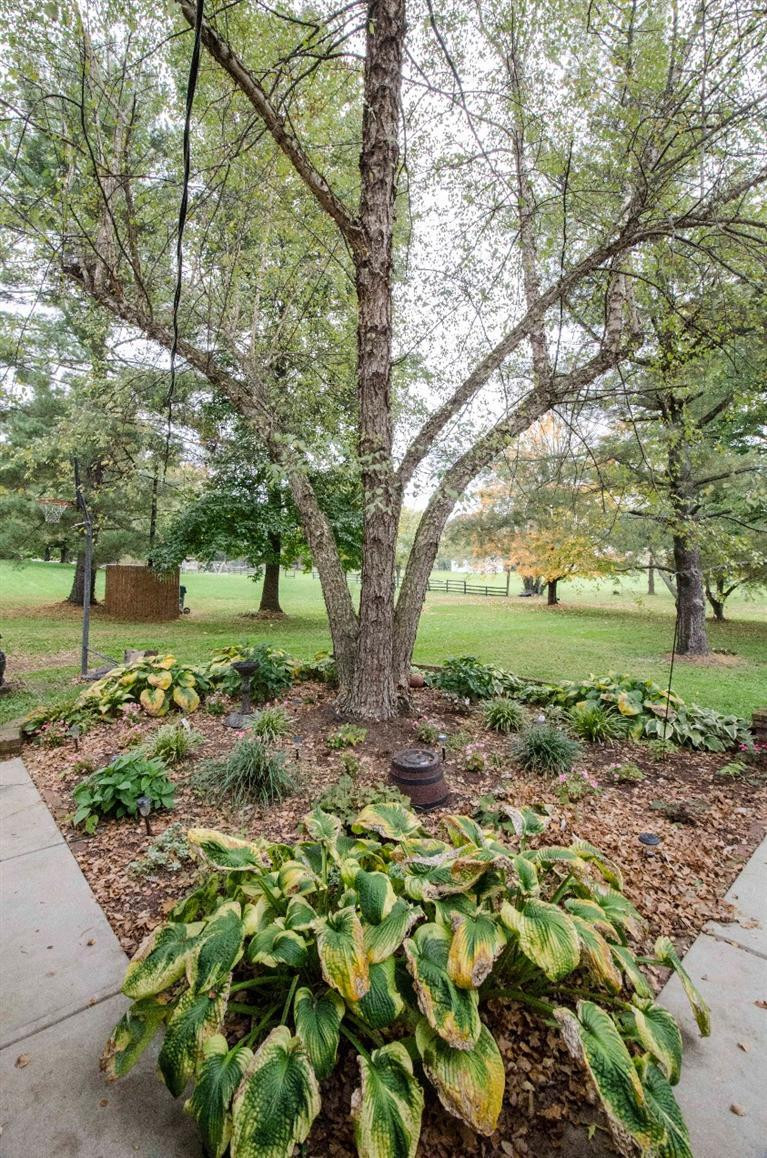 2221 Hume Road Lexington, KY 40516 - Photo 40 of 46 Photo 40