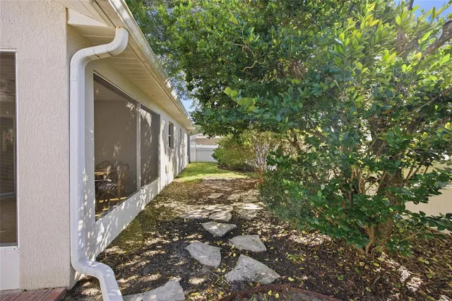 a view of a backyard with palm trees