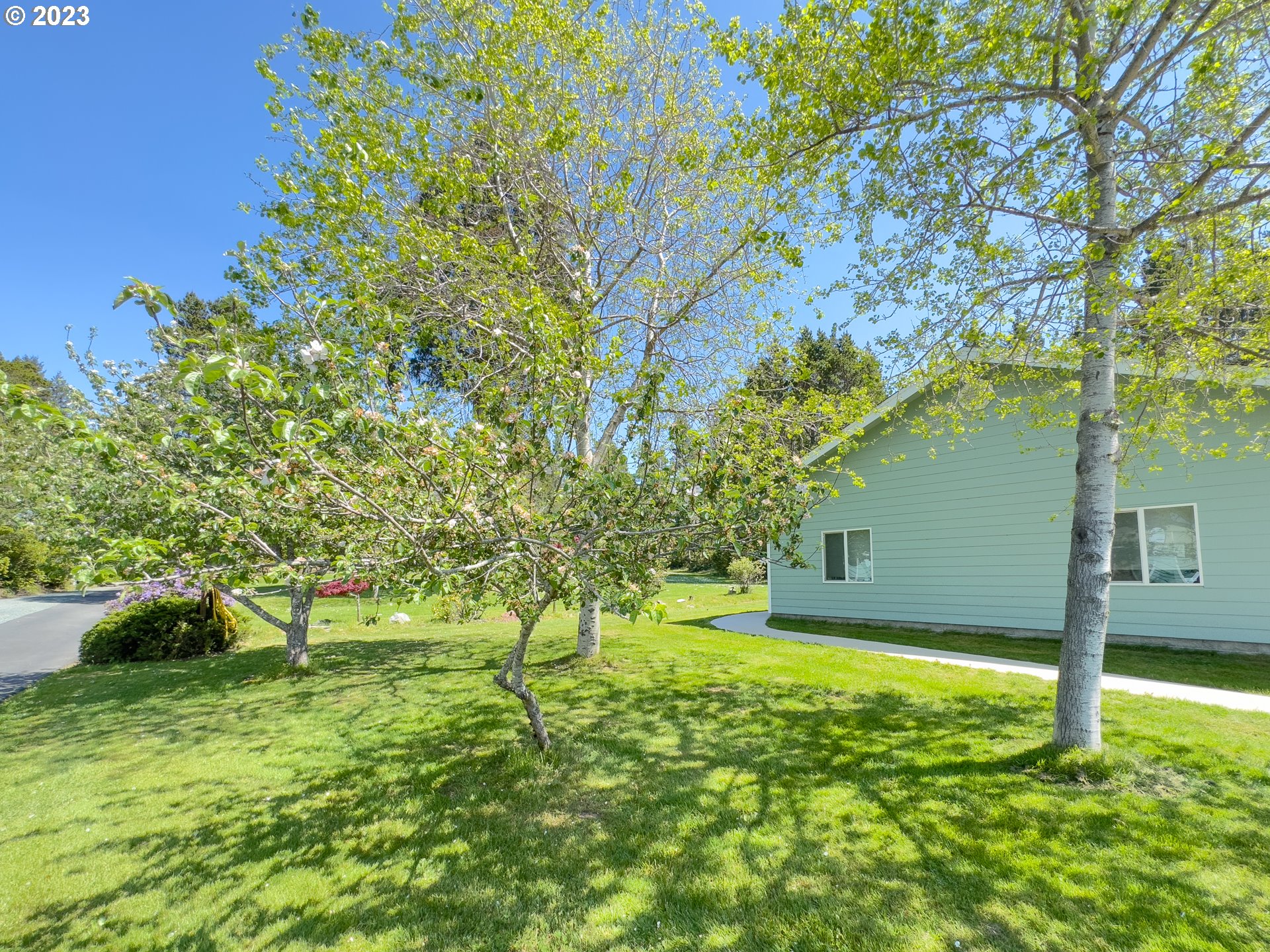 55654 Prosper Jct Road Bandon, OR 97411 - Photo 20 of 48 Primary Bedroom