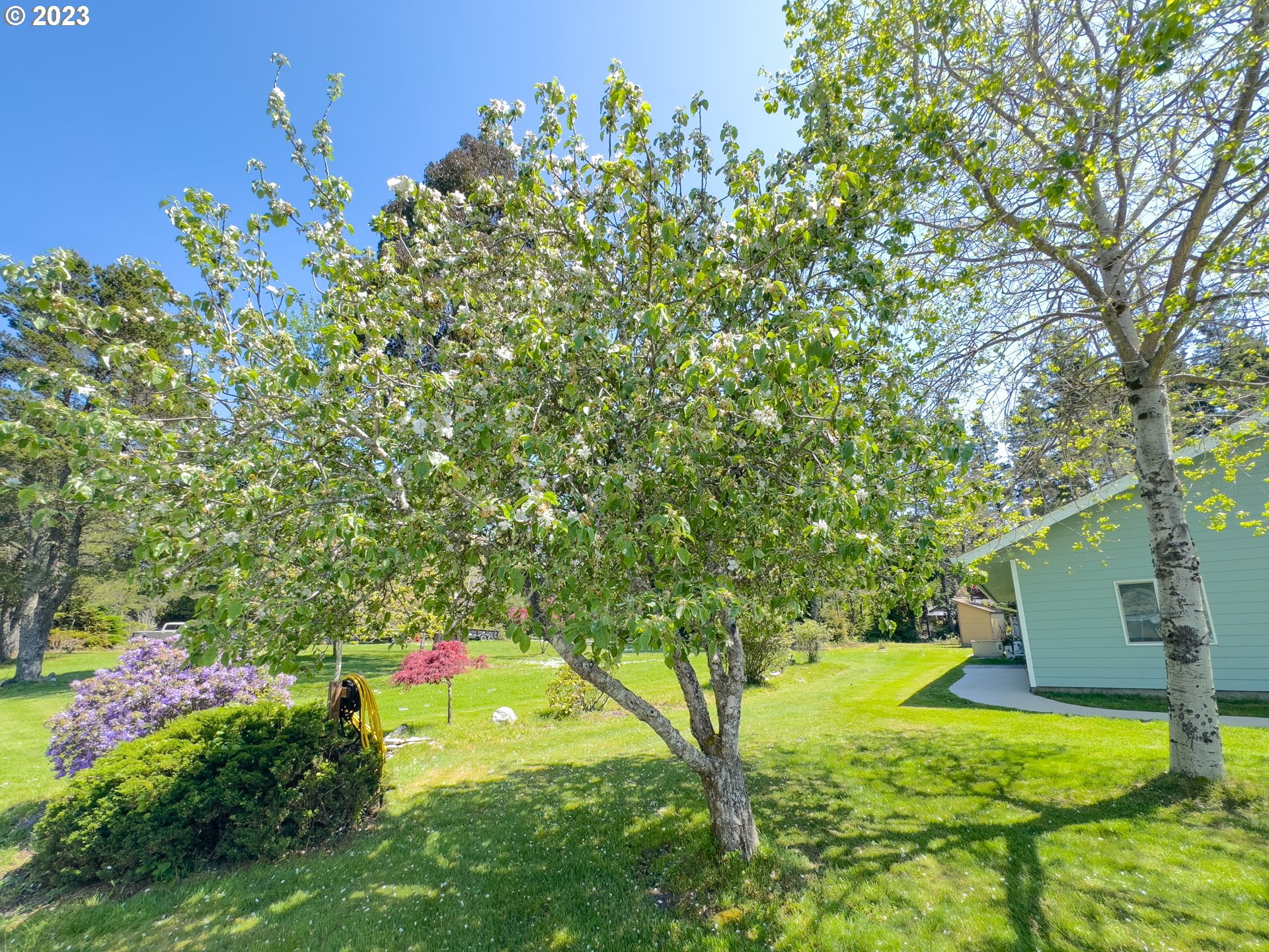 55654 Prosper Jct Road Bandon, OR 97411 - Photo 21 of 48 Den/Office
