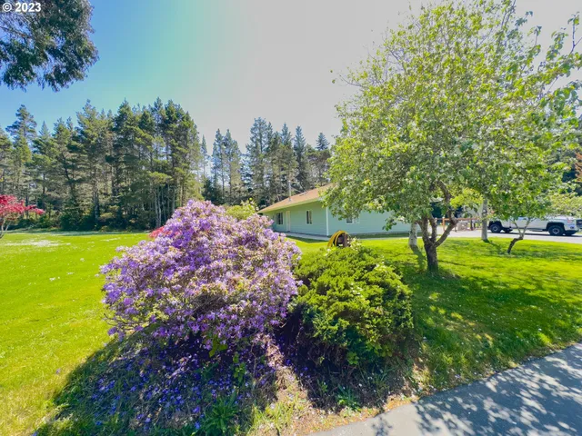 a view of a garden with plants and large trees