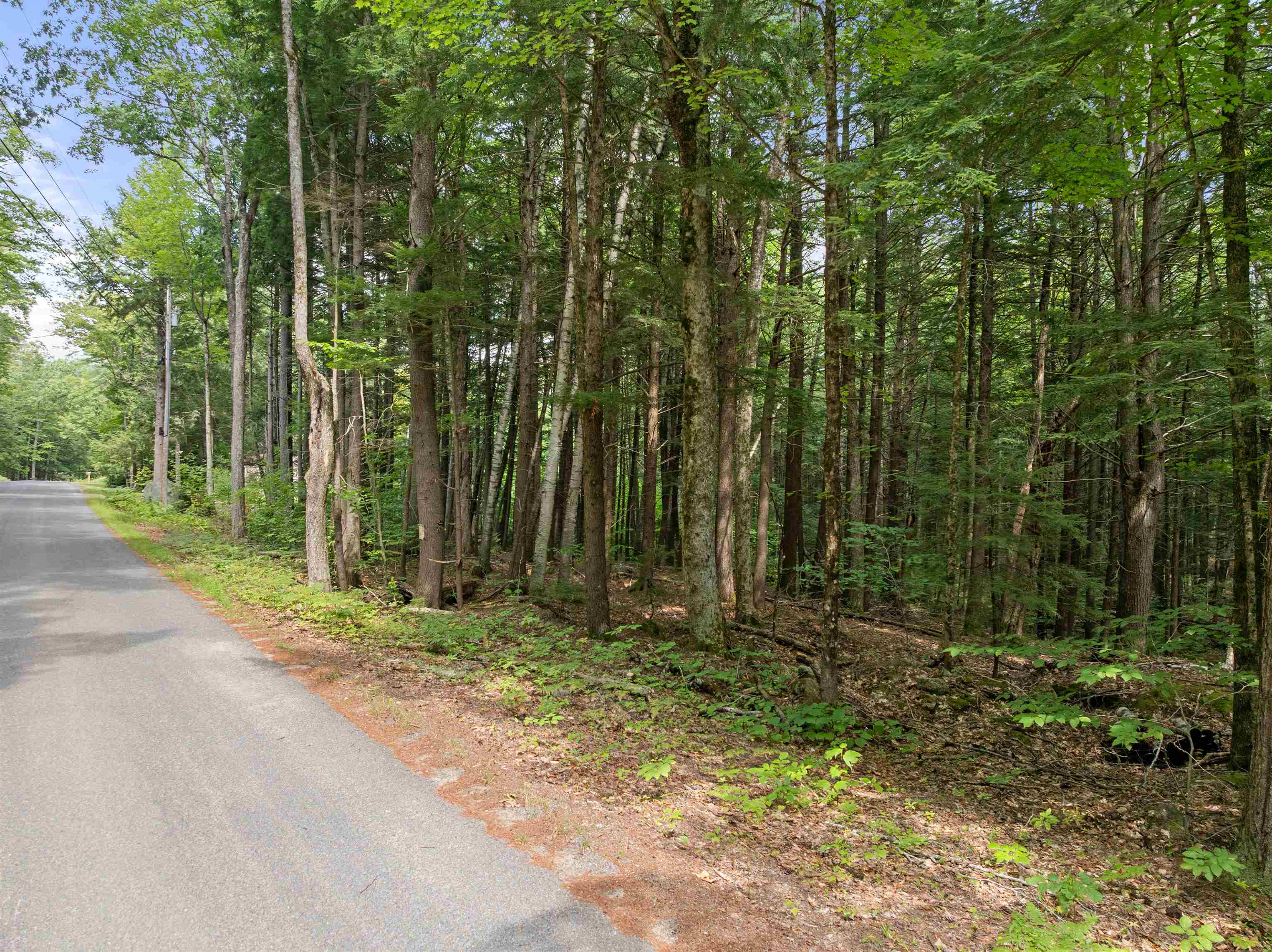 32 Forest Pond Road New Hampton, NH 03256 - Photo 7 of 17 Gallery Image 7