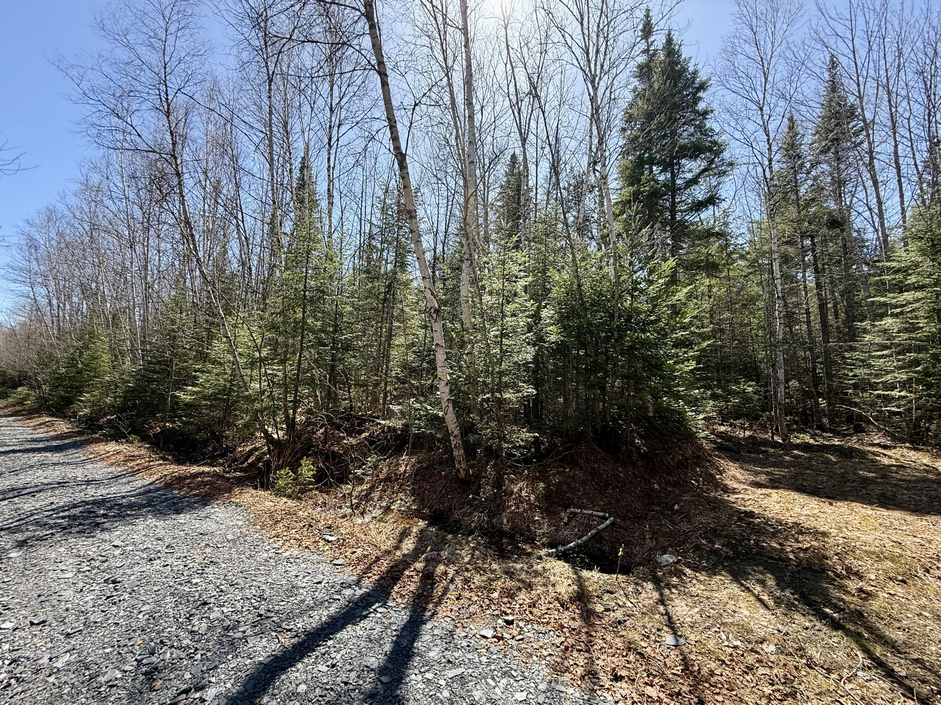 12-6 Degerstrom Road Monson, ME 04464 - Photo 6 of 6 IMG_6738
