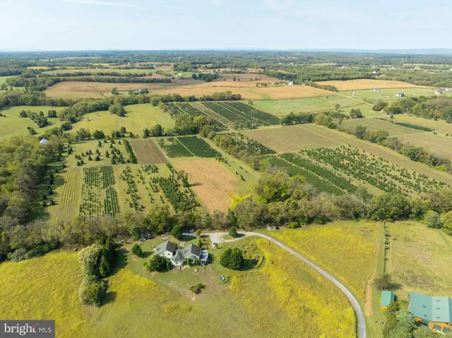 a view of a city with an ocean view