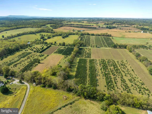 a view of lake and mountain