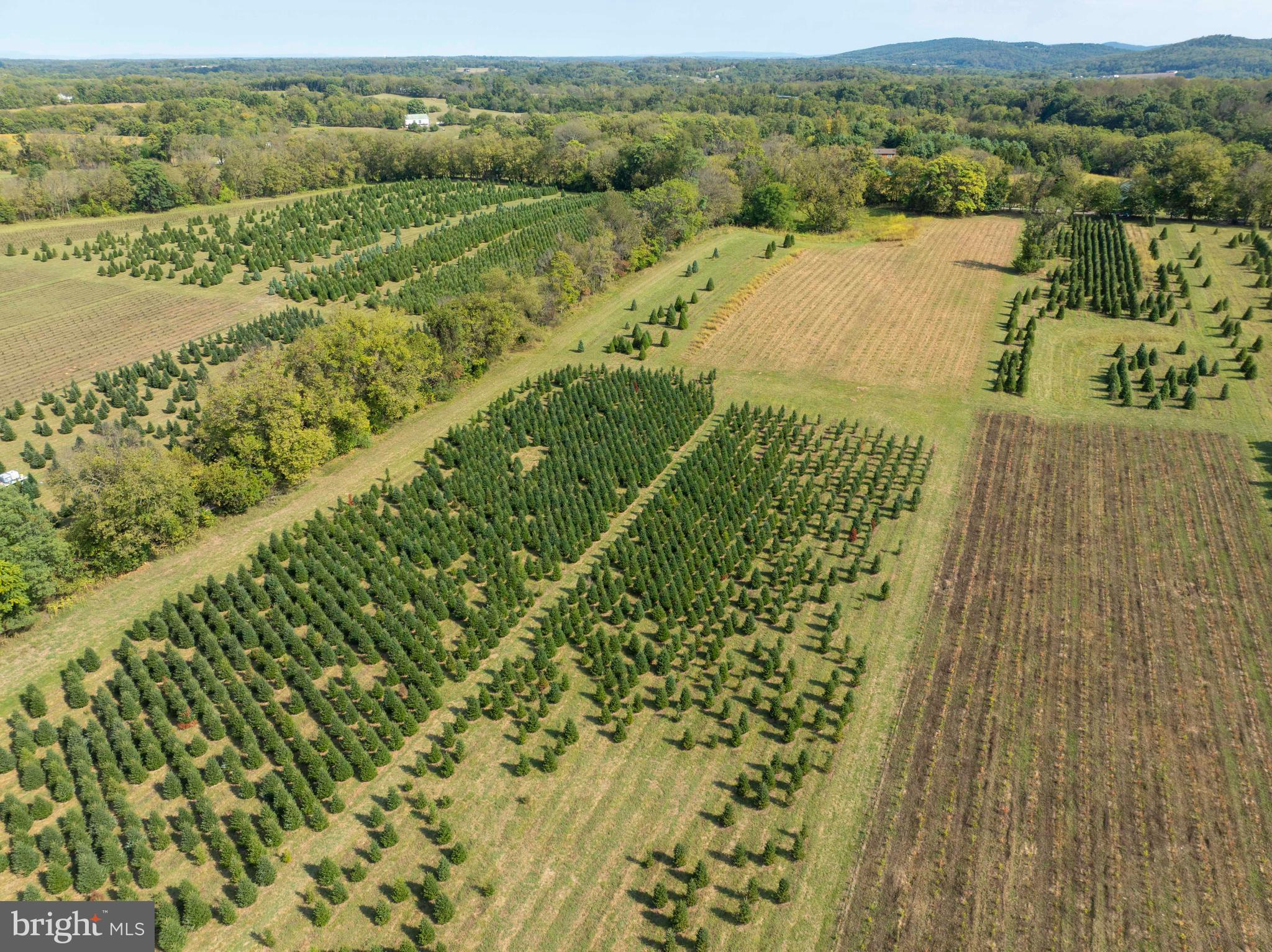 364 Knott Road Shepherdstown, WV 25443 - Photo 17 of 66 a view of an outdoor space and a lake view