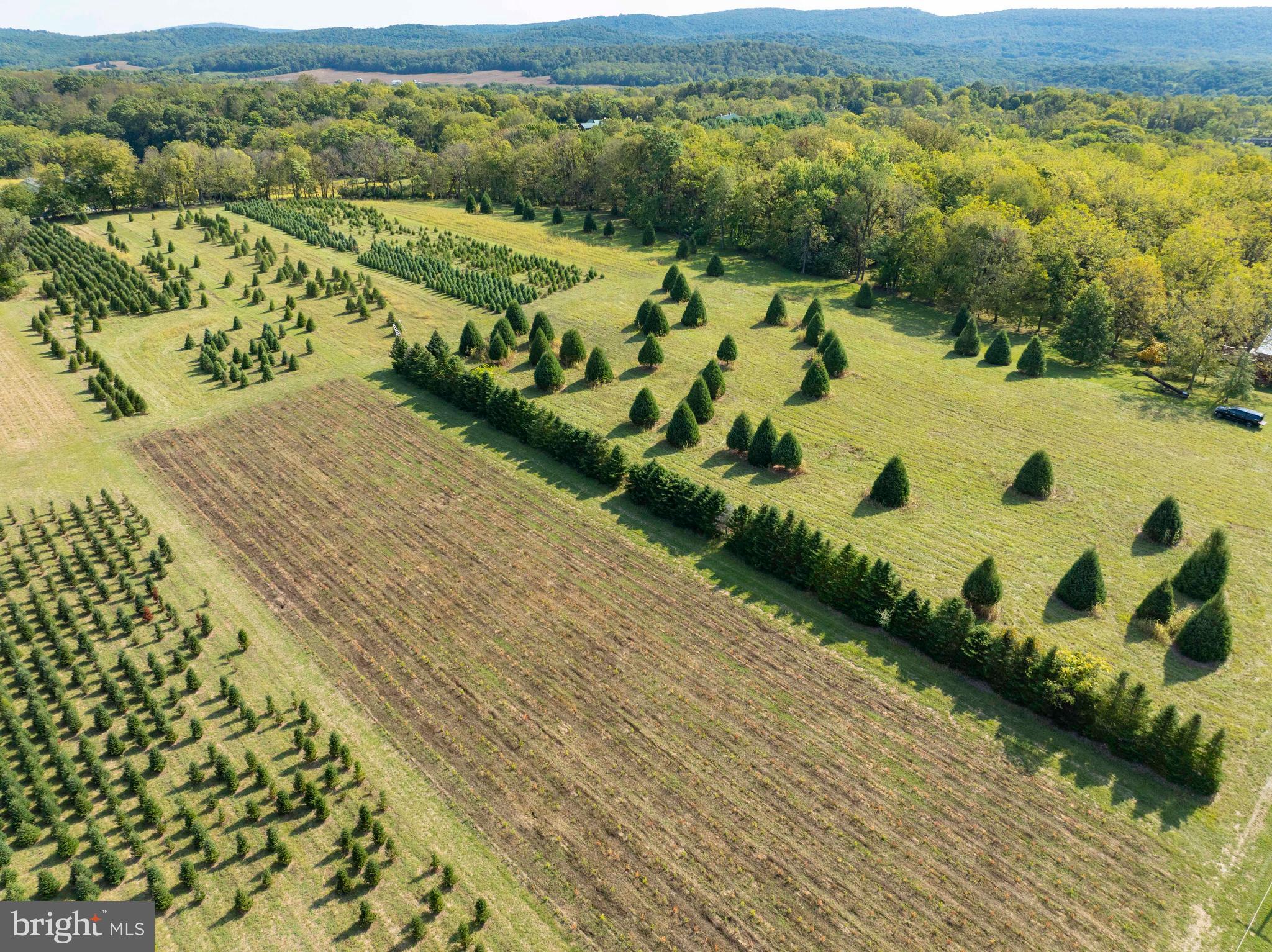 364 Knott Road Shepherdstown, WV 25443 - Photo 18 of 66 a view of a city with an ocean view