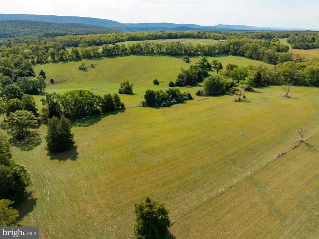 a view of a green field with lots of bushes
