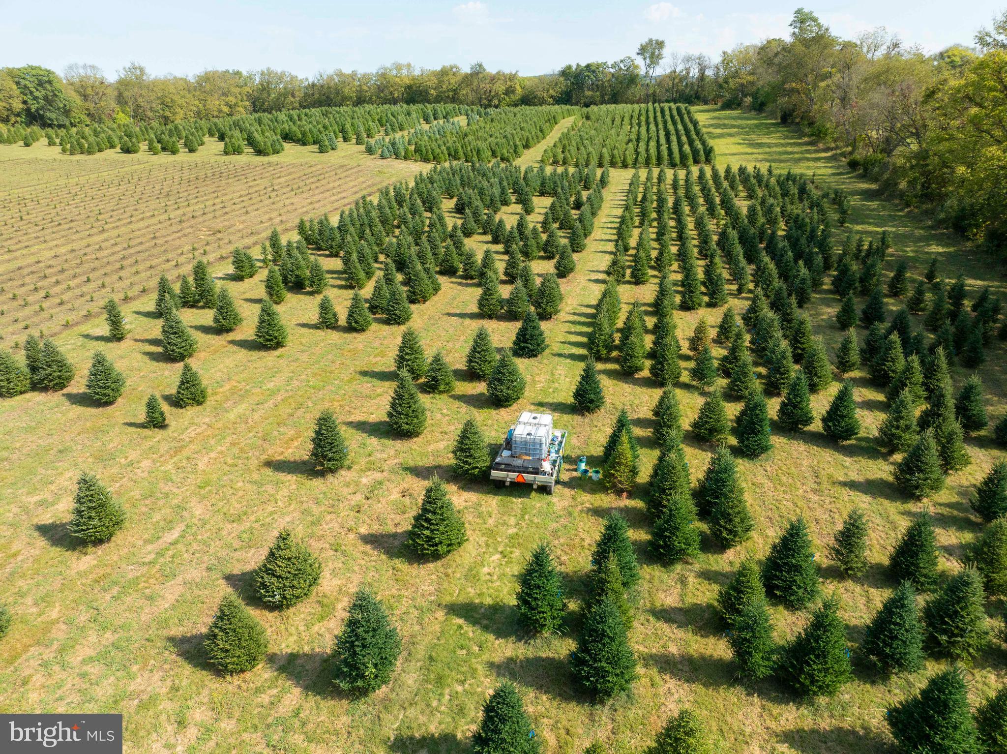 364 Knott Road Shepherdstown, WV 25443 - Photo 21 of 66 a view of lake view and mountain view