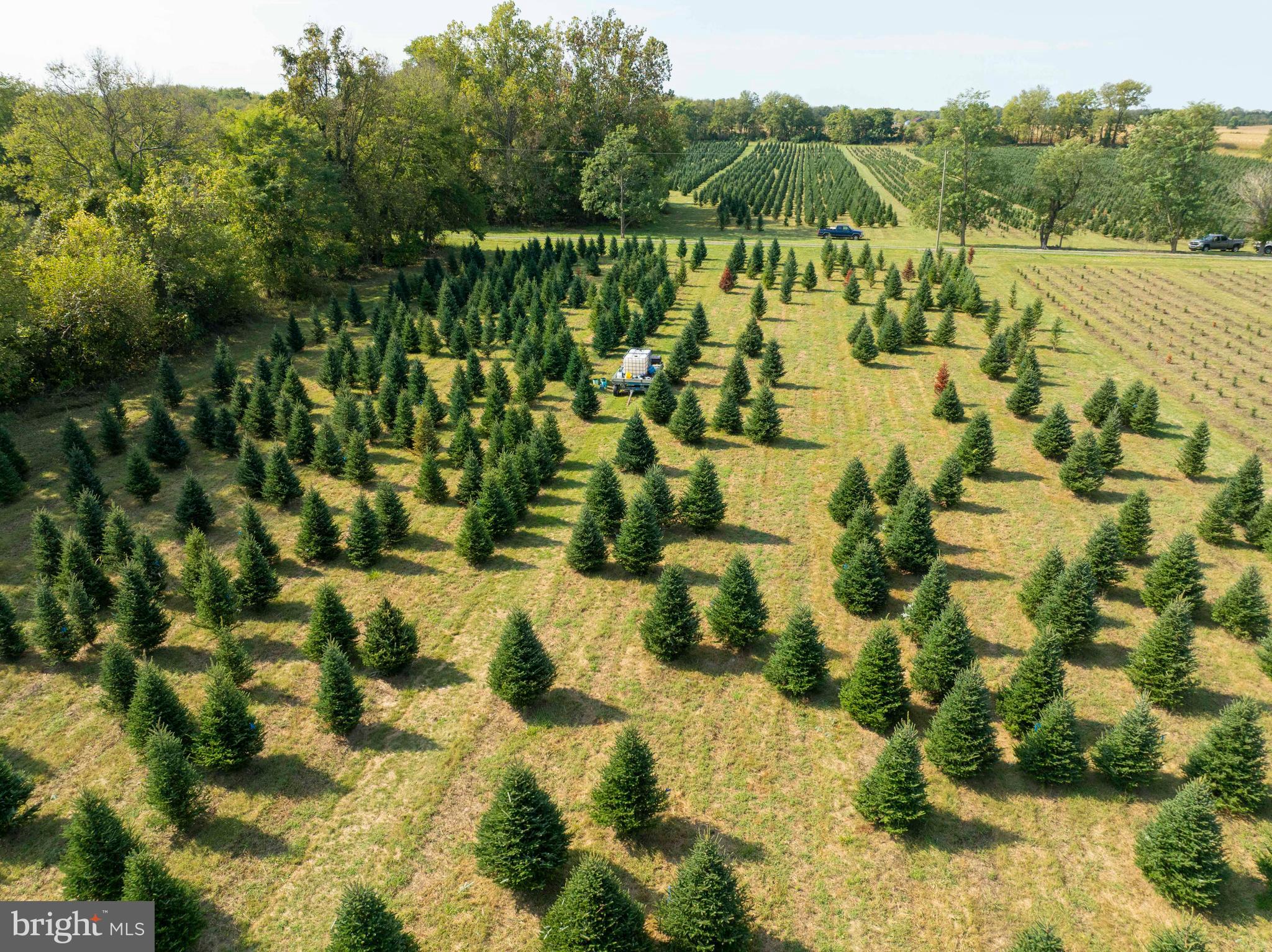 364 Knott Road Shepherdstown, WV 25443 - Photo 23 of 66 a view of an outdoor space