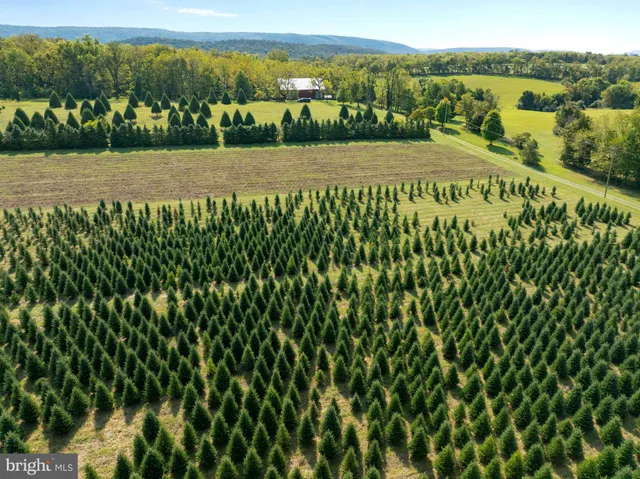 a view of an outdoor space and mountain view