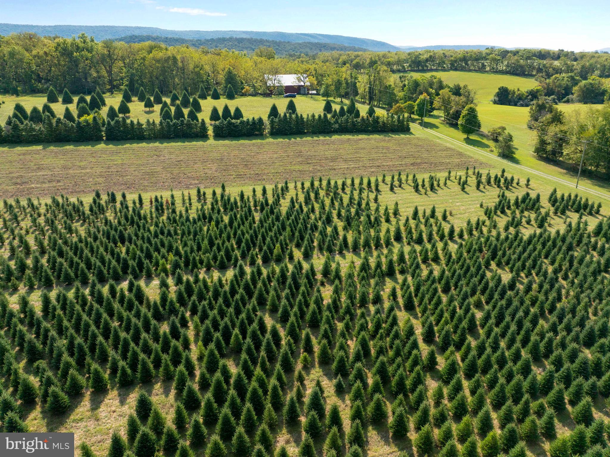 364 Knott Road Shepherdstown, WV 25443 - Photo 24 of 66 a view of an outdoor space
