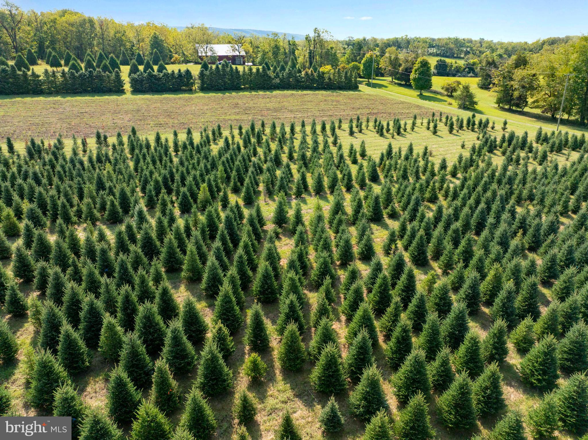 364 Knott Road Shepherdstown, WV 25443 - Photo 25 of 66 a view of an outdoor space and a yard