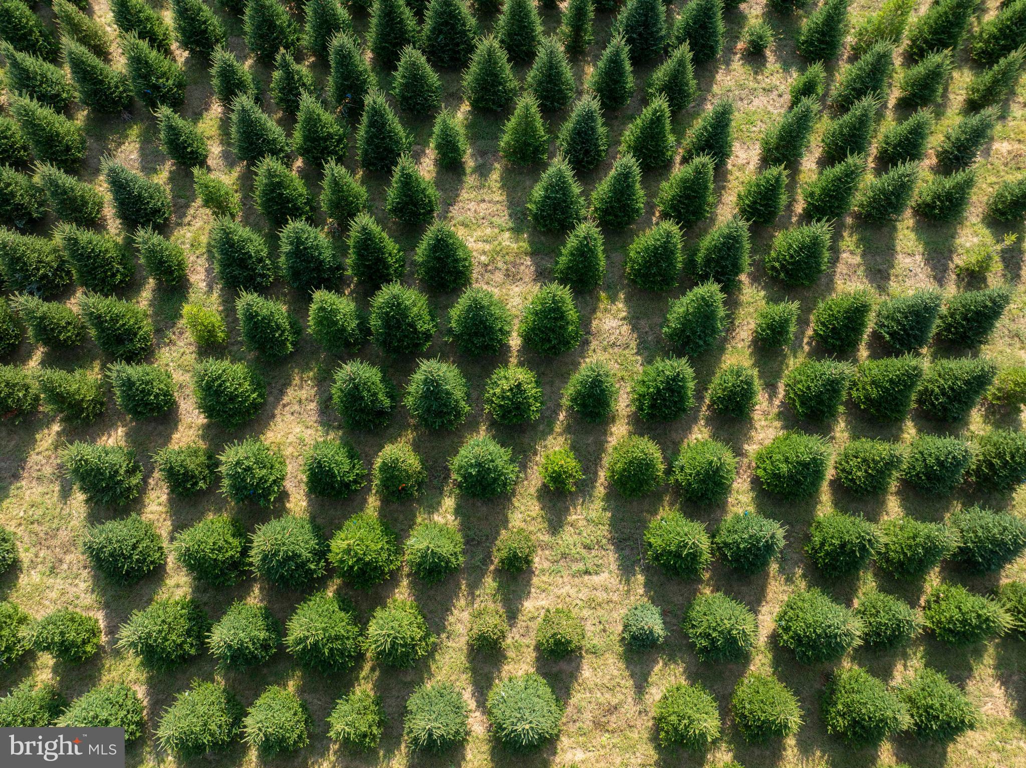 364 Knott Road Shepherdstown, WV 25443 - Photo 26 of 66