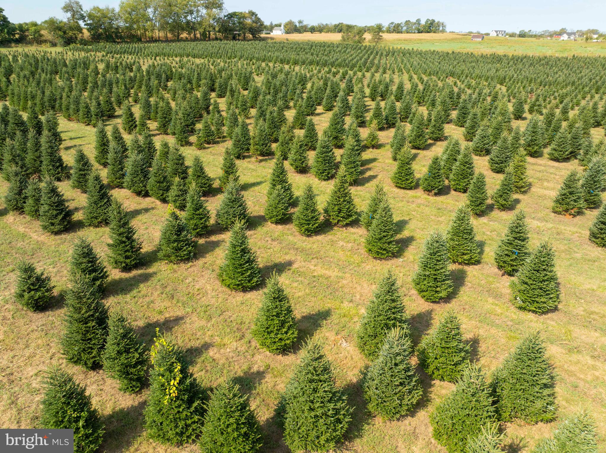 364 Knott Road Shepherdstown, WV 25443 - Photo 30 of 66 a view of lake view