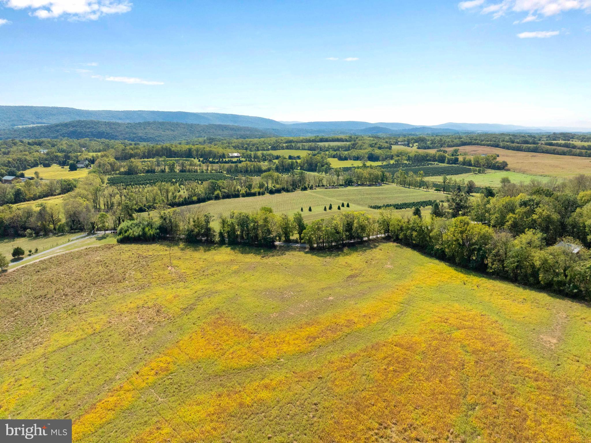 364 Knott Road Shepherdstown, WV 25443 - Photo 33 of 66 a view of an outdoor space and mountain view