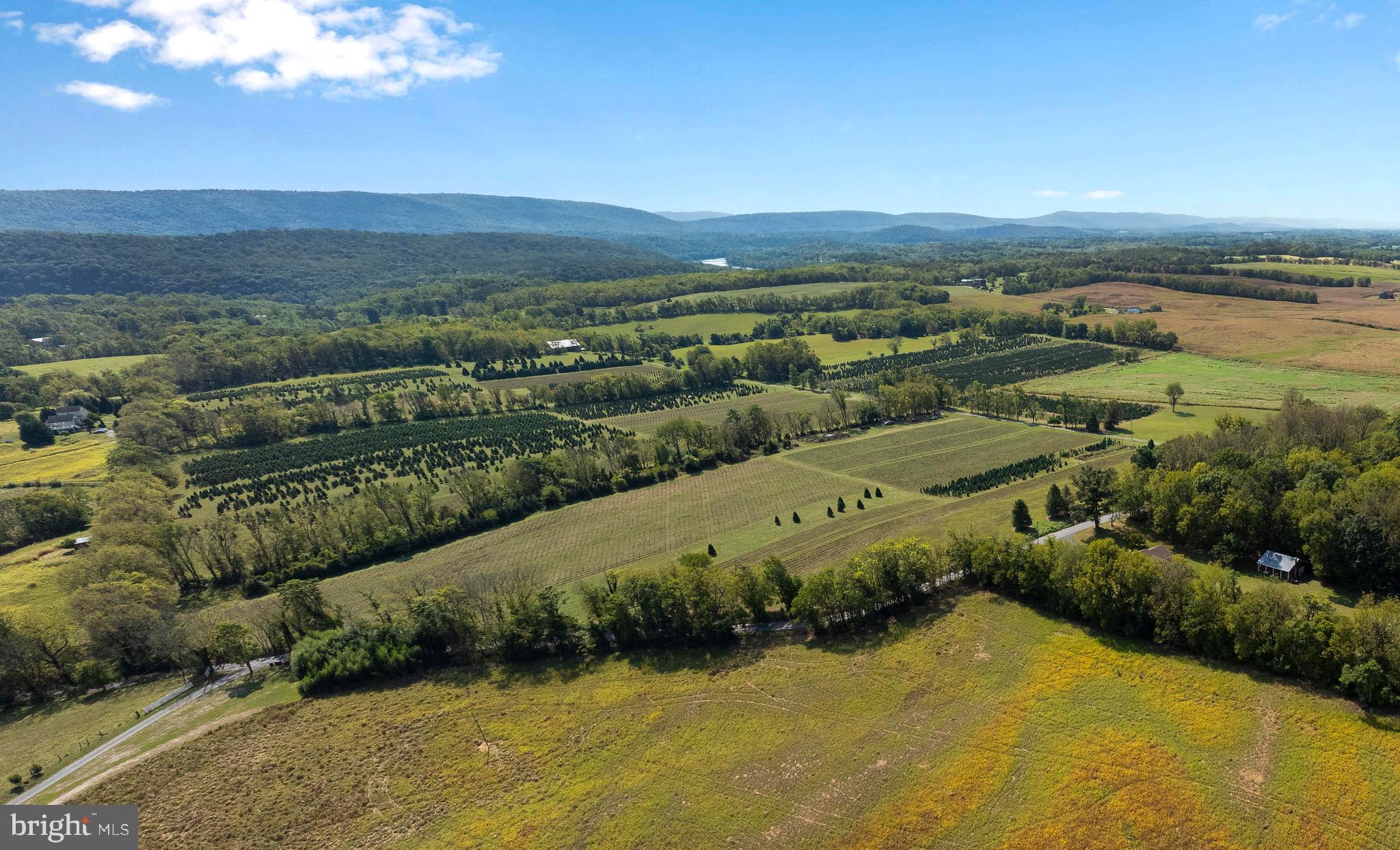 364 Knott Road Shepherdstown, WV 25443 - Photo 34 of 66