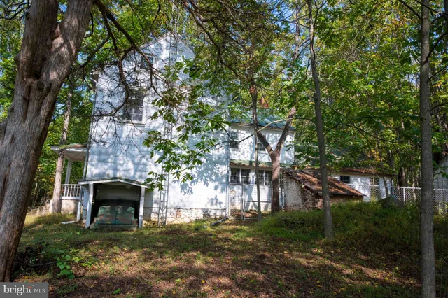 a view of a park with large trees