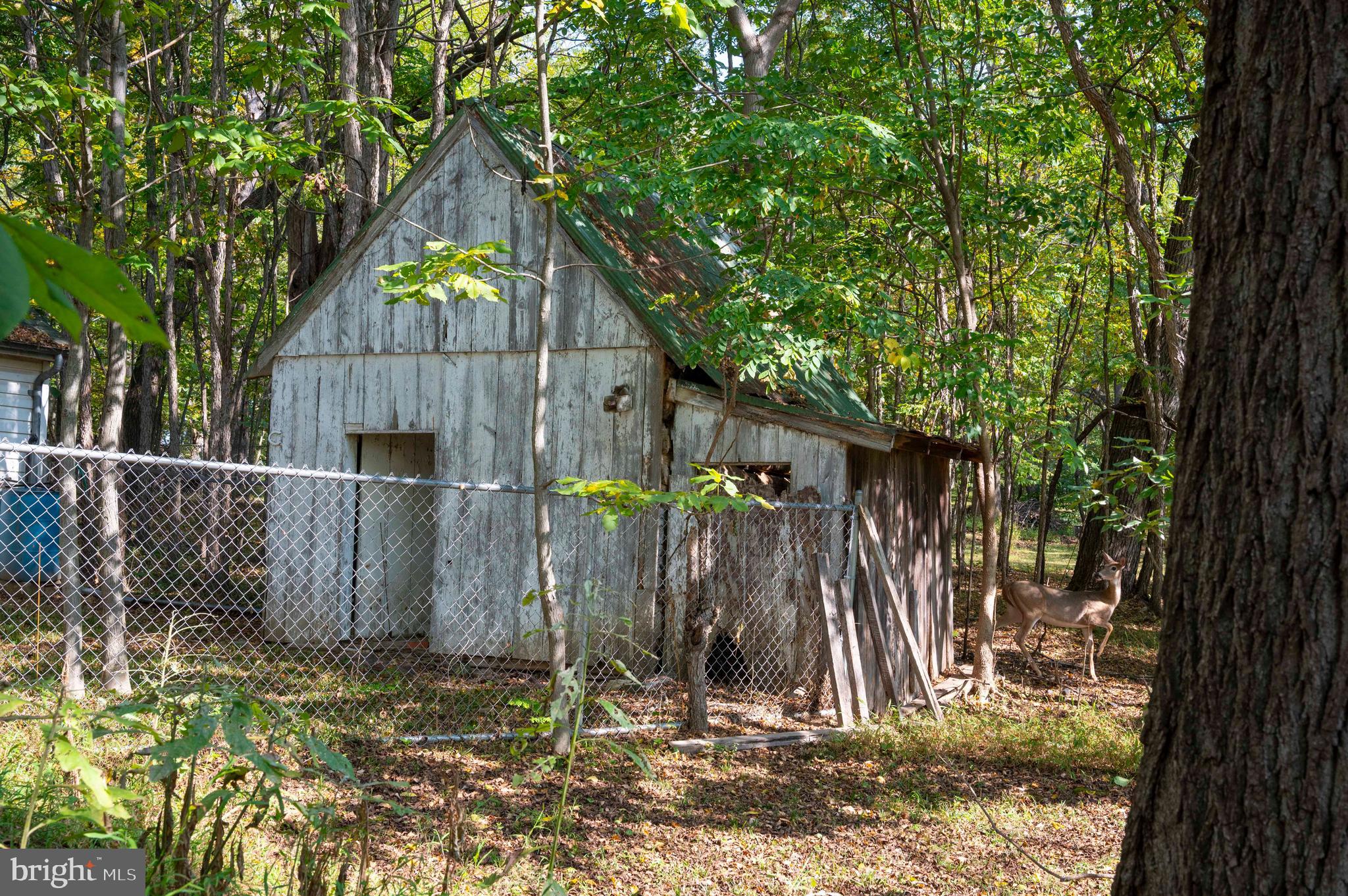 364 Knott Road Shepherdstown, WV 25443 - Photo 47 of 66 a view of outdoor space and yard